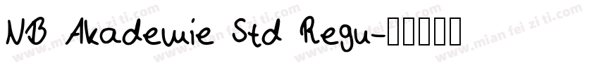 NB Akademie Std Regu字体转换